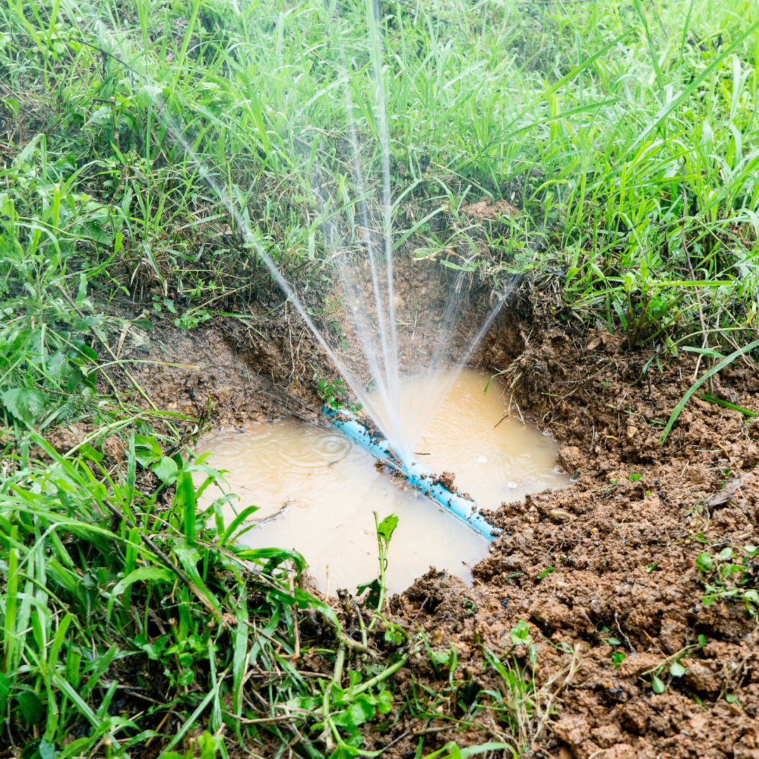 How to Detect a Leak in Your Irrigation System