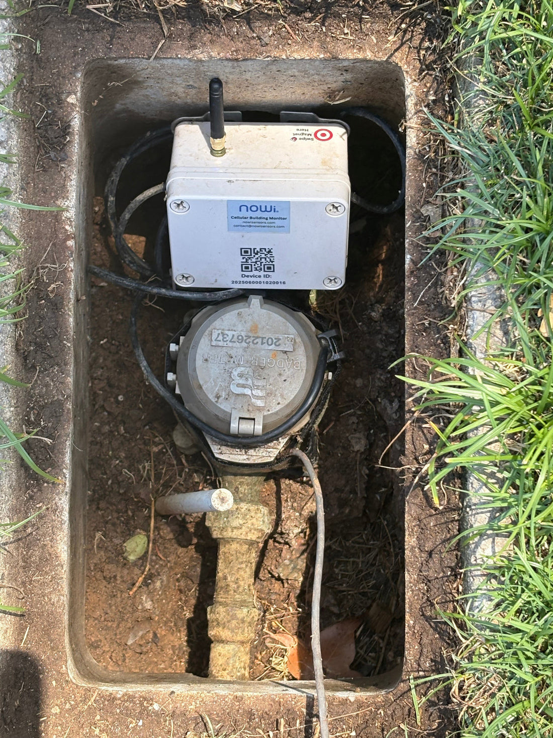 A NOWi Meter Monitor installed on a water meter in an outdoor meter box